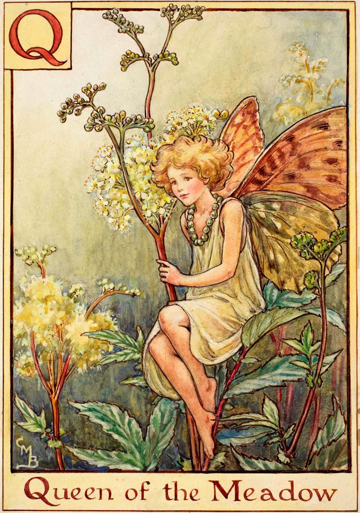 queen of the meadow by cicely mary barker